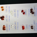 Basic color options for glass grapes: gloss/matte (1)