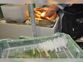 Handmade crystal trimmings (prisms, spikes)